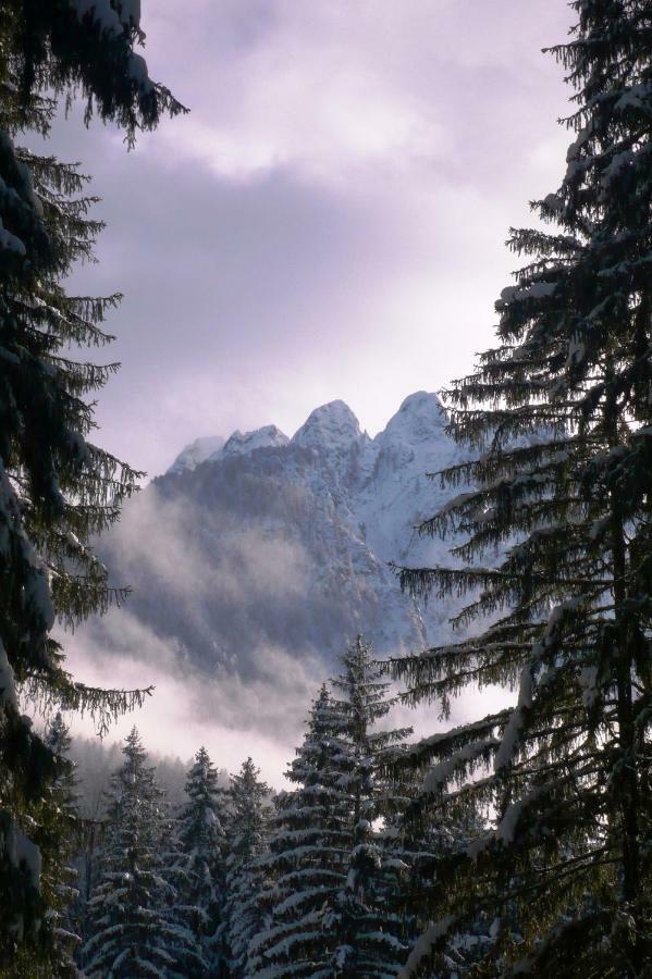 Mountain Loft Villa Tarvisio Ngoại thất bức ảnh